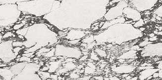 CALACATTA PAONAZZO WHITE SATIN RECT 59,8X119,8 - 5