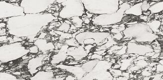 CALACATTA PAONAZZO WHITE SATIN RECT 59,8X119,8 - 4