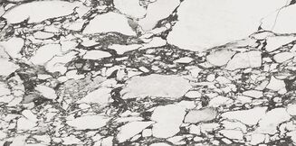 CALACATTA PAONAZZO WHITE SATIN RECT 59,8X119,8 - 3