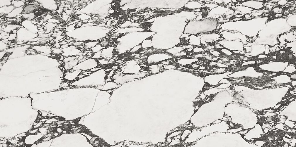 CALACATTA PAONAZZO WHITE SATIN RECT 59,8X119,8