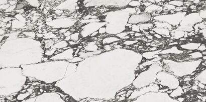 CALACATTA PAONAZZO WHITE SATIN RECT 59,8X119,8