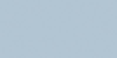 COLOR ONE WAAMB540 RAL2408015 20x40 MATOWA