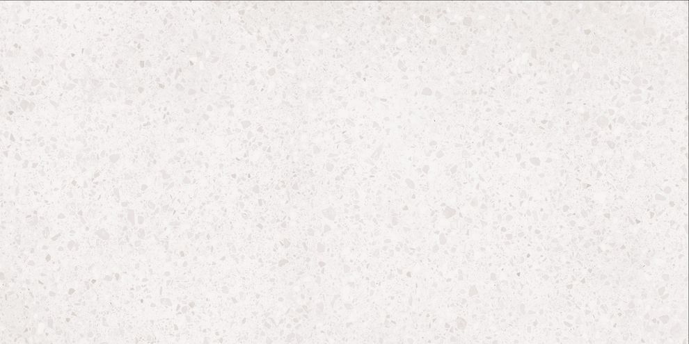 PORFIDO DASV9810 GRES REKTYFIKOWANY 60X120