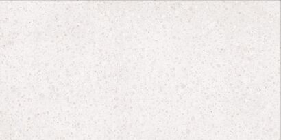 PORFIDO DASV9810 GRES REKTYFIKOWANY 60X120