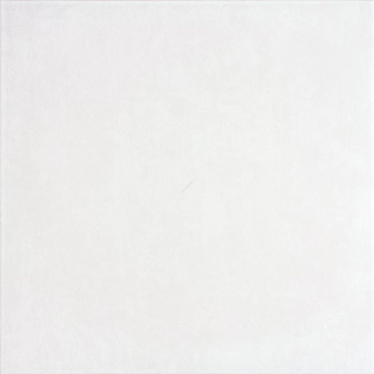 CONCEPT DAA4H599 BIAŁY GRES SZKLIWIONY 45x45