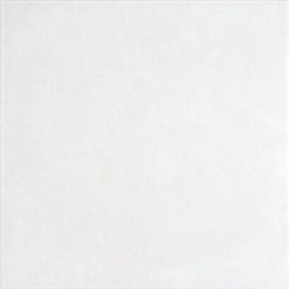 CONCEPT DAA4H599 BIAŁY GRES SZKLIWIONY 45x45