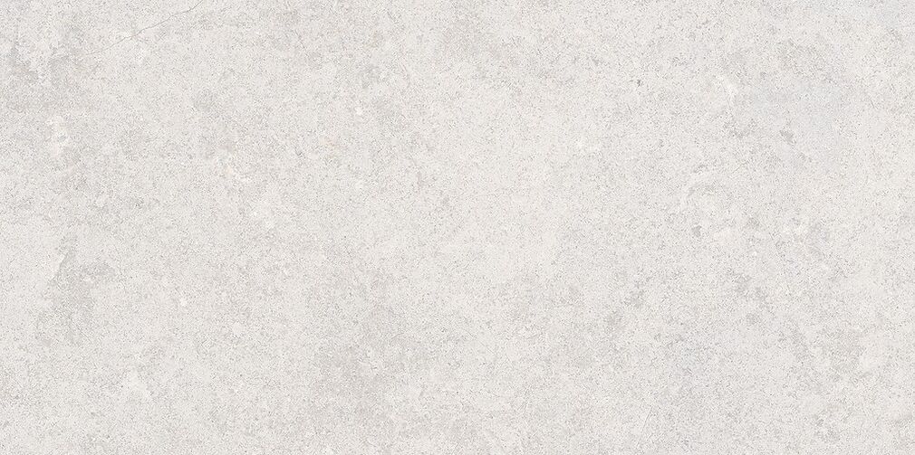 MUSSA LIGHT GREY MATT RECT 59,8X119,8