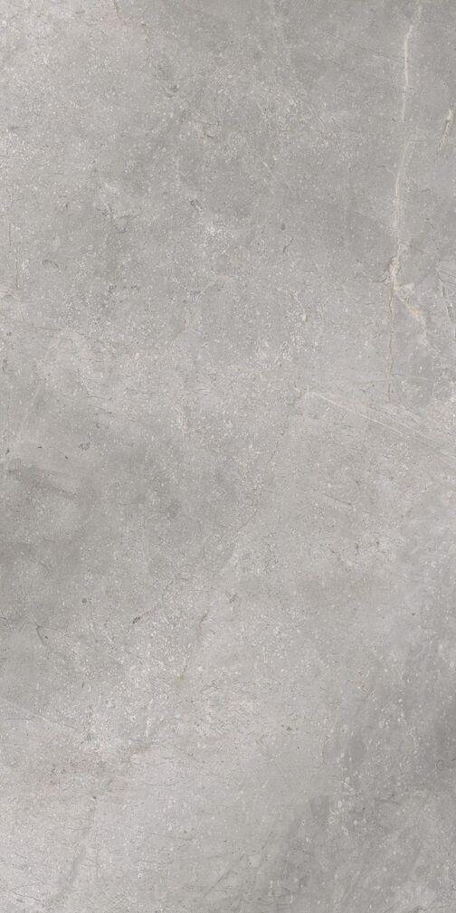 MASTERSTONE SILVER MAT 59,7x119,7