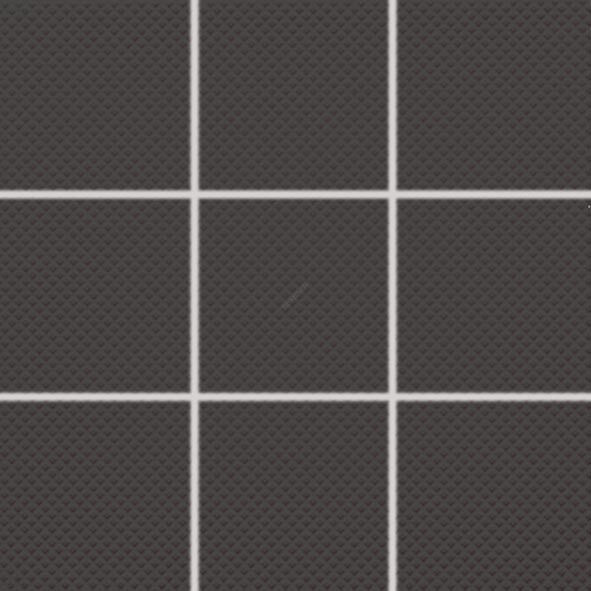 COLOR TWO GRS0K248 RAL0004000 10x10 R10/B G.1