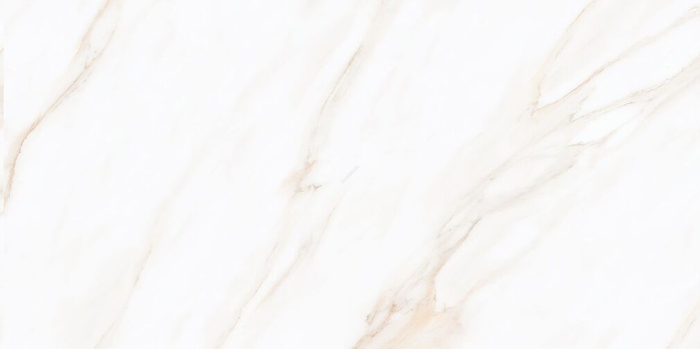 LARIVE BEIGE POLISHED RECT 60X120