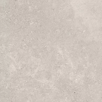 EARTHTONE 2.0 GREIGE MATT RECT 59,3X59,3 G1 GRES TARASOWY - 2