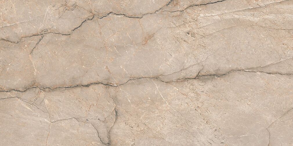 PIOVE GREY POLISHED RECT 60X120