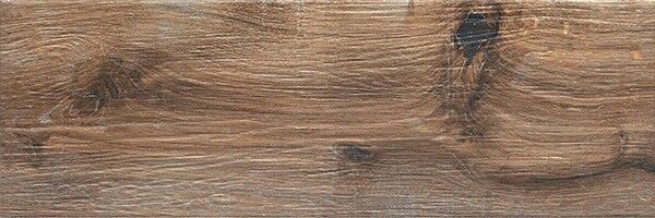 ALBERON BRĄZ ALR 04 GRES DREWNOPODOBNY 20x60