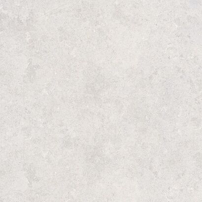 MUSSA LIGHT GREY MATT RECT 119,8 x 119,8