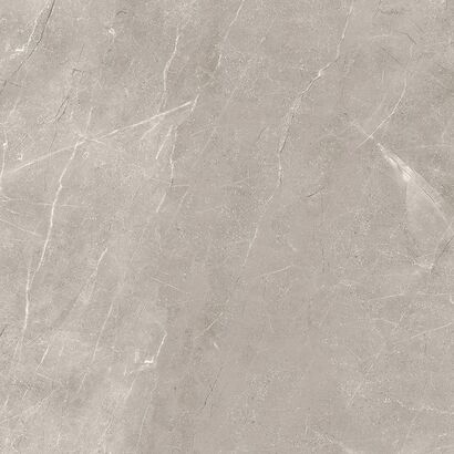 VETICANO GREY POLISHED RECT 60X60