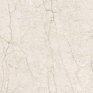 LIPIRIO LIGHT GREY POLISHED RECT 60X60 - 3