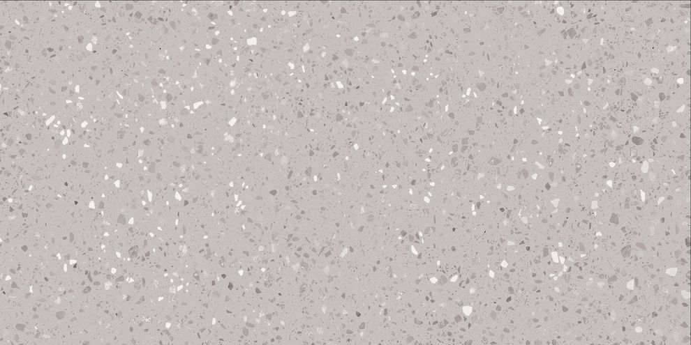 PORFIDO DASV9811 GRES REKTYFIKOWANY 60X120