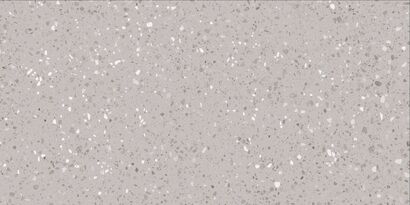 PORFIDO DASV9811 GRES REKTYFIKOWANY 60X120