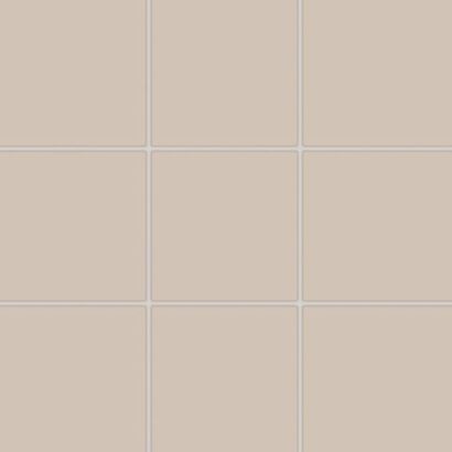 COLOR TWO GAA0K108 RAL0508010 10x10 MATOWA