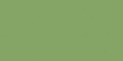 COLOR ONE WAAMB466 RAL1306050 20x40 MATOWA