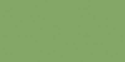 COLOR ONE WAAMB466 RAL1306050 20x40 MATOWA