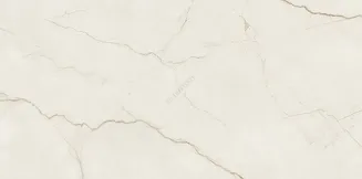 ARCADIA STONE SILVER POLISHED MATT RECT 59,8X119,8 - 2