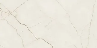 ARCADIA STONE SILVER POLISHED MATT RECT 59,8X119,8 - 3