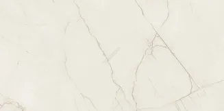 ARCADIA STONE SILVER POLISHED MATT RECT 59,8X119,8 - 5