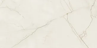 ARCADIA STONE SILVER POLISHED MATT RECT 59,8X119,8 - 7