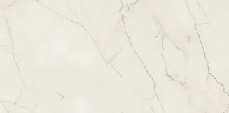 ARCADIA STONE SILVER POLISHED MATT RECT 59,8X119,8 - 8