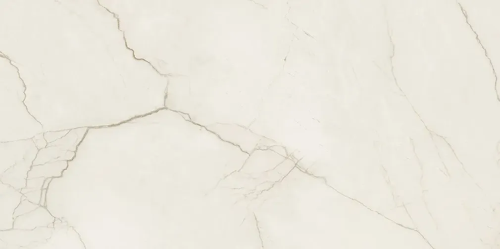 ARCADIA STONE SILVER POLISHED MATT RECT 59,8X119,8