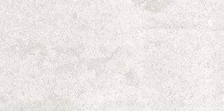 SASIRIO LIGHT GREY POLISHED RECT 60X120 - 2