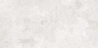 SASIRIO LIGHT GREY POLISHED RECT 60X120 - 3