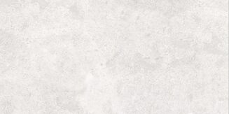 SASIRIO LIGHT GREY POLISHED RECT 60X120 - 4