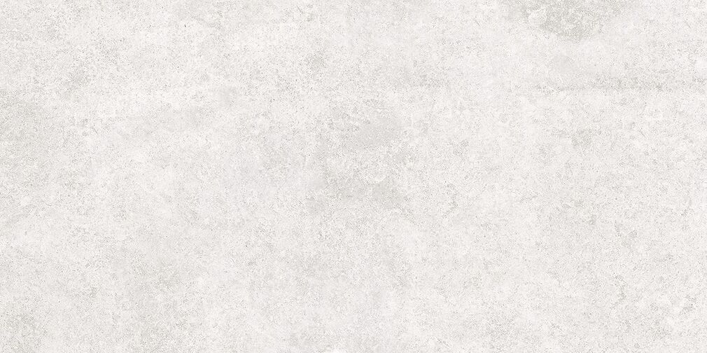 SASIRIO LIGHT GREY POLISHED RECT 60X120