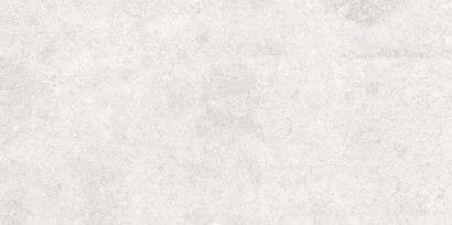 SASIRIO LIGHT GREY POLISHED RECT 60X120