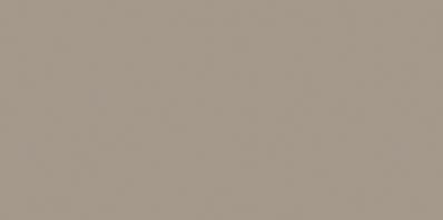 COLOR ONE WAAMB302 RAL0607010 20x40 połysk G.1