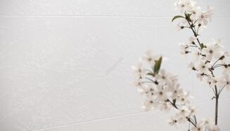 FARISA WHITE INSERTO SATIN RECT 29,8X59,8 - 2