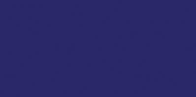 COLOR ONE WAAMB545 RAL2902035 20x40 mat G.1