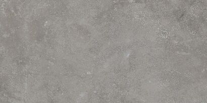 DALE DARSR880 GRES REKTYFIKOWANY 30x60