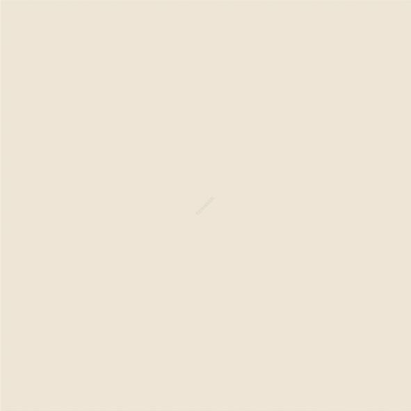 TAURUS COLOR TAK62011 WHITE 60x60