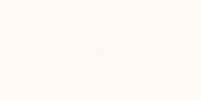 PS800 WHITE MICRO RECT 29,8X59,8 G1