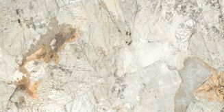 REGIANO GREY POLISHED RECT 60X120 - 3