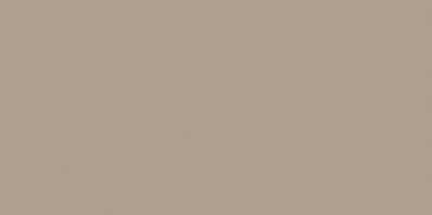 COLOR ONE WAAMB311 RAL0607020 20x40 MATOWA