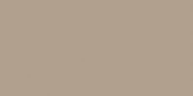 COLOR ONE WAAMB311 RAL0607020 20x40 MATOWA