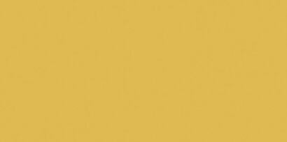 COLOR ONE WAAMB222 RAL0858070 20x40 MATOWA