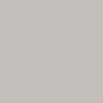 TAURUS COLOR TAA34003 LIGHT GREY 30X30