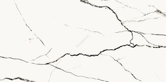 ETERNAL WHITE POLISHED 60x120 - 3