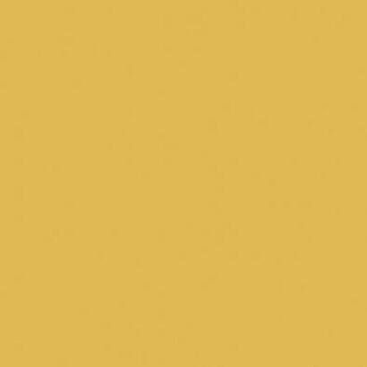 COLOR ONE WAA1N201 RAL0858070 20x20 POŁYSK