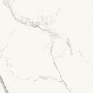 TILLITA STATUARIO WHITE POLISHED RECT 60X60 - 3